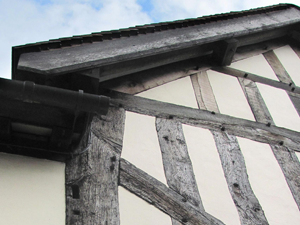 Chartered Surveyor services provided by White and Gilbert